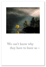 Load image into Gallery viewer, Greeting Card - Condolence - "We can't know why they have to leave us..."