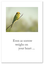 Load image into Gallery viewer, Greeting Card - Condolence - "...may you remember the joyful moments."