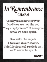 Load image into Gallery viewer, New!! Keepsake urn-In Remembrance Charm size Angel