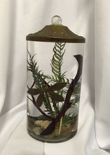 Load image into Gallery viewer, Oil Candle ~ Half Cylinder Vase (multiple styles)