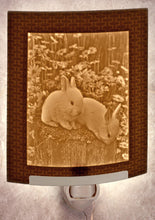 Load image into Gallery viewer, Nightlight - Baby Bunnies - Porcelain Lithophane